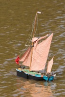 DSC06750 © Peter Taylor 2011