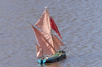 DSC09745 © Peter Taylor 2012