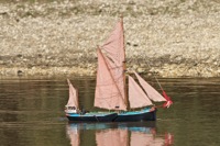 DSC09703 © Peter Taylor 2012