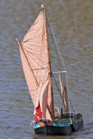 DSC09726 © Peter Taylor 2012