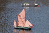 DSC09699 © Peter Taylor 2012