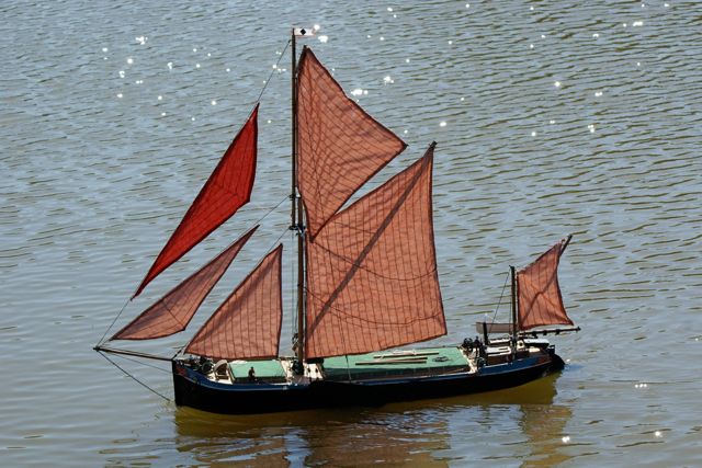  DSC00164 © Peter Taylor 2009