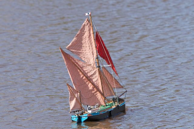 DSC09745 © Peter Taylor 2012
