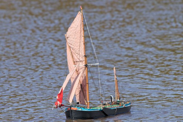 DSC09695 © Peter Taylor 2012