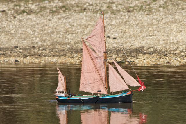 DSC09703 © Peter Taylor 2012