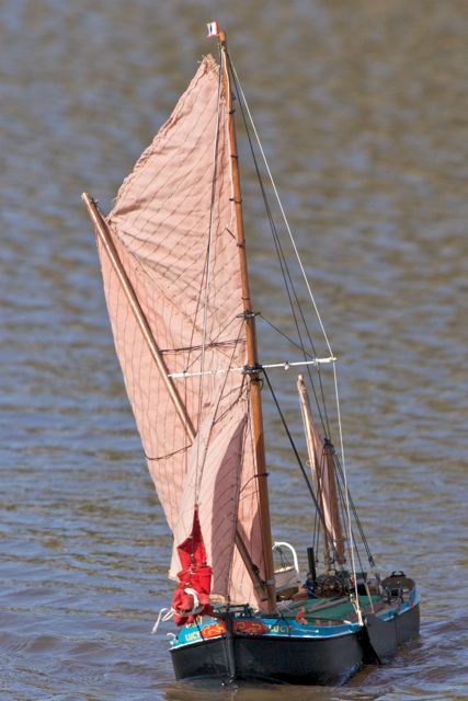 DSC09726 © Peter Taylor 2012