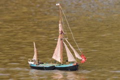 DSC06769 © Peter Taylor 2011