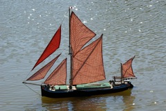  DSC00164 © Peter Taylor 2009