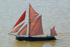 DSC00163 © Peter Taylor 2009