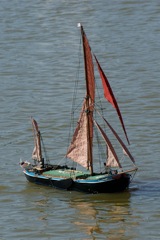 DSC00162 © Peter Taylor 2009