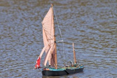 DSC09695 © Peter Taylor 2012