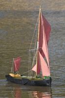 DSC07342 © Peter Taylor 2011