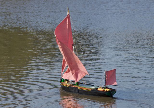 DSC03071 © Peter Taylor 2011