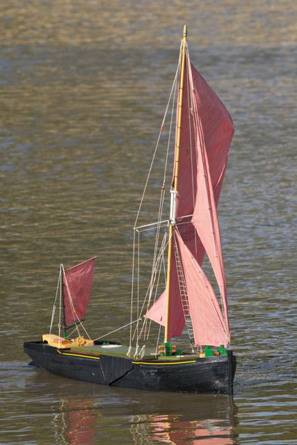 DSC07342 © Peter Taylor 2011