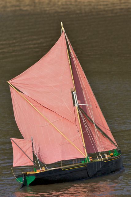 DSC07346 © Peter Taylor 2011