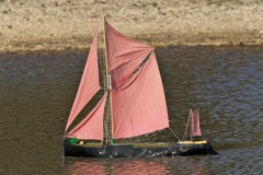 DSC07352 © Peter Taylor 2011