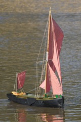 DSC07342 © Peter Taylor 2011