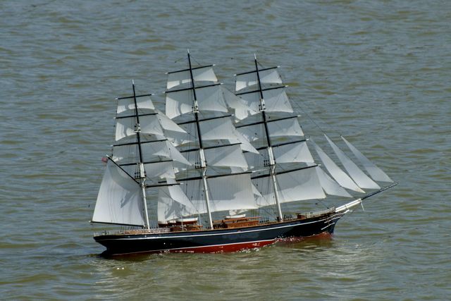 DSC01144 © Peter Taylor 2010