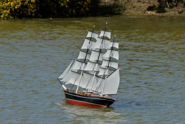 DSC01114 © Peter Taylor 2010