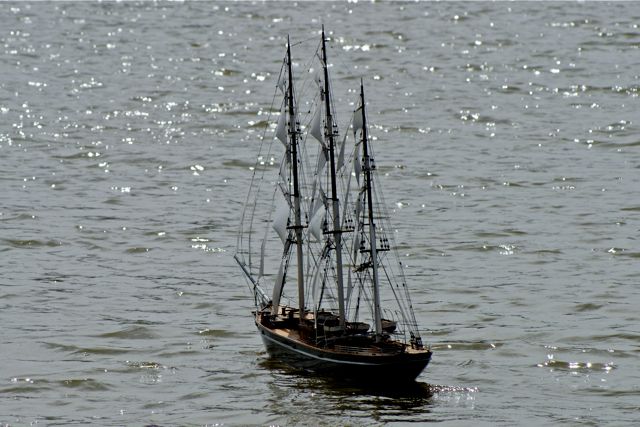 DSC01080 © Peter Taylor 2010
