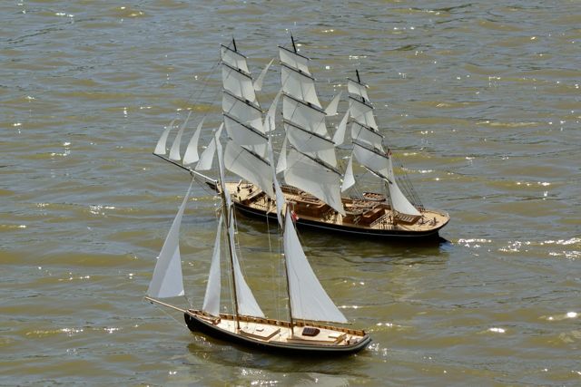 DSC05840 © Peter Taylor 2008