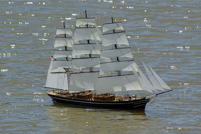 DSC05832 © Peter Taylor 2008