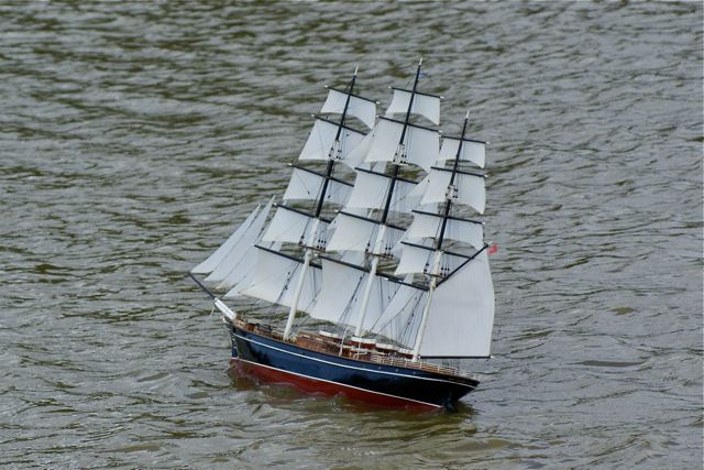 DSC05816 © Peter Taylor 2008