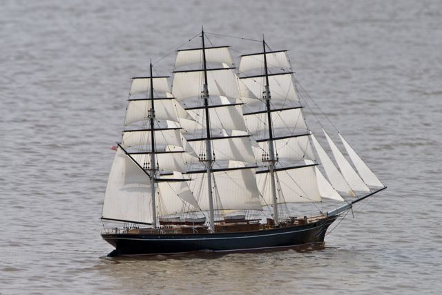 DSC04157 © Peter Taylor 2011