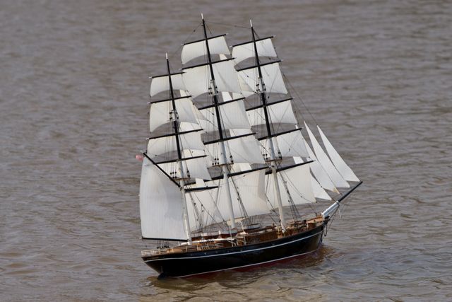 DSC04134 © Peter Taylor 2011