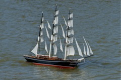 DSC01128 © Peter Taylor 2010