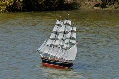 DSC01114 © Peter Taylor 2010