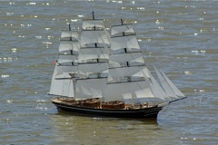 DSC05832 © Peter Taylor 2008