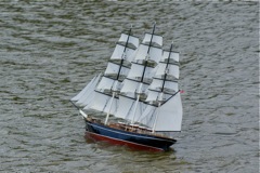 DSC05816 © Peter Taylor 2008