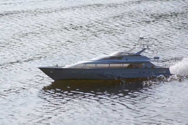 A100.08041401  © Peter Taylor 2008 