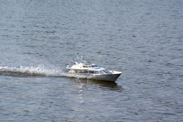 A100.08041402  © Peter Taylor 2008 