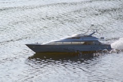 A100.08041401  © Peter Taylor 2008 