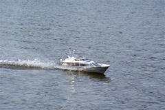 A100.08041402  © Peter Taylor 2008 