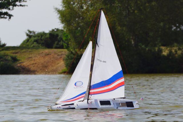DSC01710 © Peter Taylor 2012