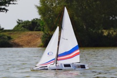DSC01710 © Peter Taylor 2012