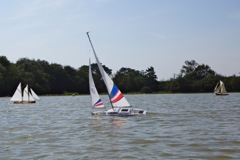 DSC01680 © Peter Taylor 2012