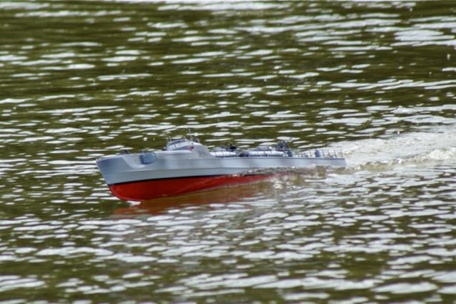 DSC09983 © Peter Taylor 2009