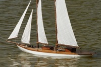 DSC00988 © Peter Taylor 2012