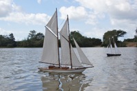 DSC01384 © Peter Taylor 2012