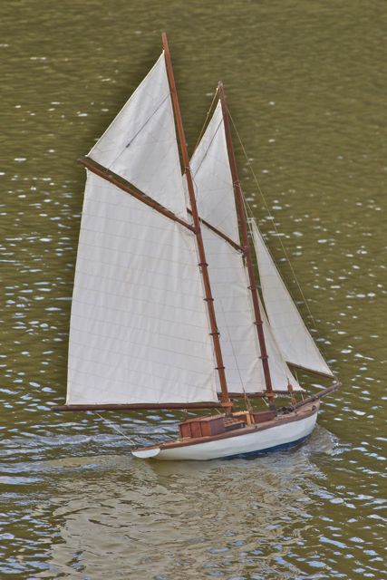 DSC01378 © Peter Taylor 2012