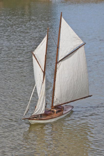 DSC01379 © Peter Taylor 2012