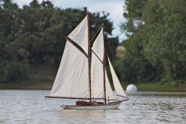 DSC01394 © Peter Taylor 2012