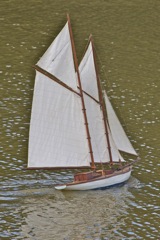 DSC01378 © Peter Taylor 2012