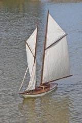 DSC01379 © Peter Taylor 2012