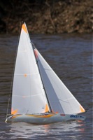 DSC09692© Peter Taylor 2012