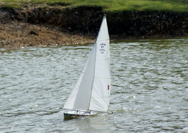 A100.07052513 © Peter Taylor 2007